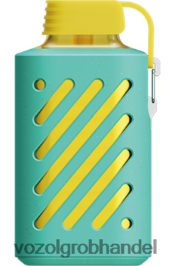 VOZOL GEAR 10000 Himbeer-Wassermelone - F6TH20306 VOZOL Vape Preis