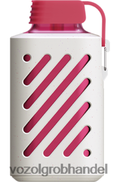 VOZOL GEAR 10000 Kirscheis - F6TH20316 VOZOL Österreich