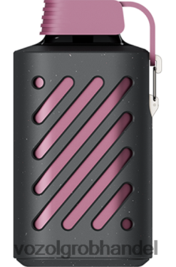 VOZOL GEAR 10000 Passionsfrucht, Himbeere, Mandarine - F6TH20300 VOZOL E-Zigarette Österreich