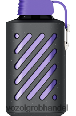 VOZOL GEAR 10000 Waldbeerensturm - F6TH20291 VOZOL E-Zigarette Österreich