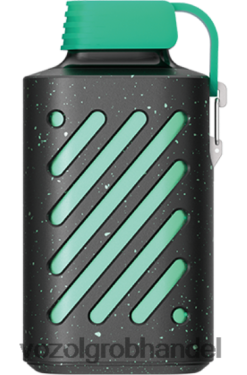 VOZOL GEAR 10000 Wassermelonen-Kaugummi - F6TH20313 VOZOL Einweg Vape