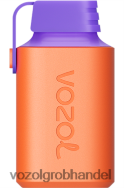 VOZOL GEAR 600 Brombeereis - F6TH20360 VOZOL Vape Preis