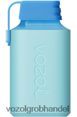 VOZOL GEAR 600 Herr Blau - F6TH20355 VOZOL Kaufen