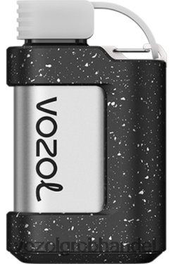 VOZOL GEAR 7000 Snow-Top-Kaffee - F6TH20342 VOZOL Vape Preis