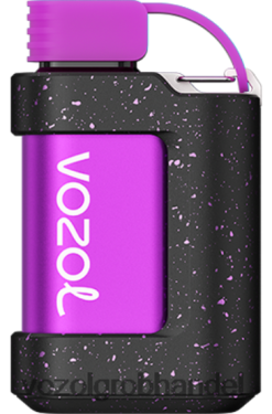 VOZOL GEAR 7000 Waldbeerensturm - F6TH20333 VOZOL Vape Preis