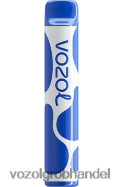 VOZOL JOYGO 600 Blaubeersturm - F6TH20390 VOZOL E-Zigarette Österreich