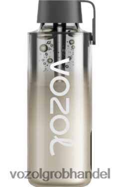 VOZOL NEON 10000 Brombeersturm - F6TH20230 VOZOL E Zigarette