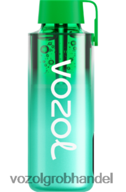VOZOL NEON 10000 Miami-Minze - F6TH20229 VOZOL Kaufen
