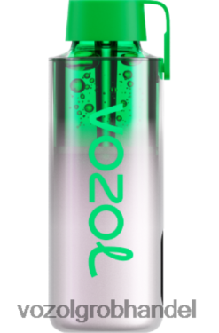 VOZOL NEON 10000 Traubeneis - F6TH20234 VOZOL Vape Preis