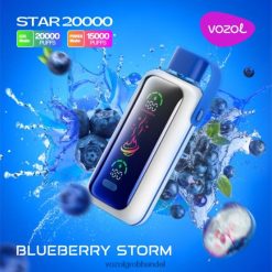 VOZOL STAR 20000 Blaubeersturm - F6TH20400 VOZOL Kaufen