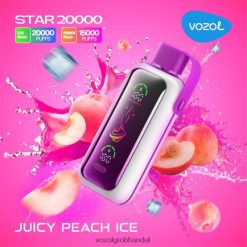 VOZOL STAR 20000 saftiges Pfirsicheis - F6TH20405 VOZOL Vape Preis