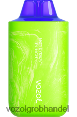 VOZOL STAR 6000/8000 v2 Honigpunsch - F6TH2051 VOZOL Einweg