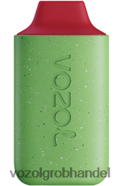 VOZOL STAR 6000 Himbeer-Wassermelone - F6TH20127 VOZOL Österreich