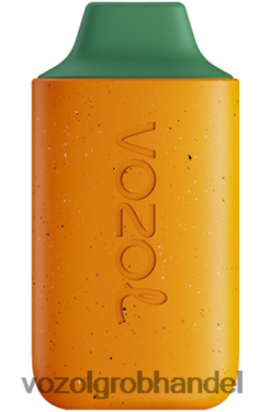 VOZOL STAR 6000 Kiwi Guave Passionsfrucht - F6TH20115 VOZOL Einweg Vape