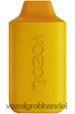 VOZOL STAR 6000 Mango-Pfirsich-Ananas - F6TH20119 VOZOL Österreich Kaufen