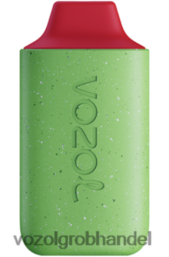 VOZOL STAR 6000 Waldbeerensturm - F6TH20113 VOZOL E Zigarette