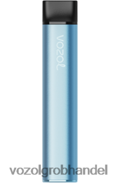 VOZOL SWITCH 600 Blauer Razz - F6TH20221 VOZOL E Zigarette