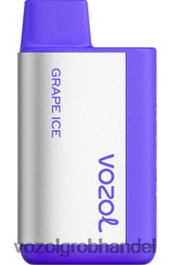 VOZOL TIGO 600 Traubeneis - F6TH20367 VOZOL Einweg Vape