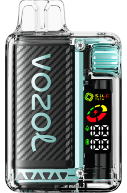 VOZOL VISTA 16000/20000 Miami-Minze - F6TH209 VOZOL Vape Preis